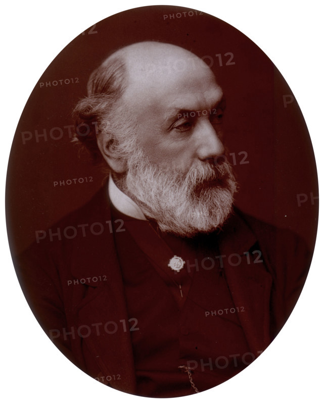 Frederick Richard Pickersgill, artist and Royal Academician, 1882. Pickersgill (1820-1900) was a painter of historical subjects as well as scenes from art and literature, contemporary life and the Bible. He became a Royal Academician in 1850, the year in which he painted the work generally regarded as his masterpiece, 'Samson Betrayed'.