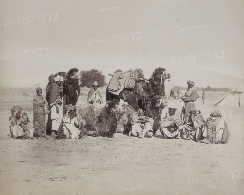 Group of Bactrian camels and camel drivers, Afghanistan, c1879. Bactria was an ancient Greek kingdom in central Asia. Its capital was Bactra, which is the present day Balkh in the north of Afghanistan. In 1850, Balkh became part of the unified kingdom of Afghanistan.