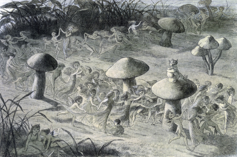 'Water lilies and water fairies of the period', c1869-c1870. An assortment of fairies, nymphs and elves are dancing around toadstools. From "In Fairy land. A series of pictures from the elf-world by Richard Doyle. With a poem by W Allingham." (London, 1869-1870).