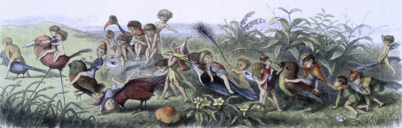 'Water lilies and water fairies of the period', c1869-c1870. 'This is part of the Triumphal Progress represented on a previous page; but owing to the delay caused by the tricks and gambols of the Elves, and the practical jokes of some of the birds, they have been left behind by the rest of the Procession.' An assortment of fairies, nymphs and elves ride on the backs of birds. From "In Fairy land. A series of pictures from the elf-world by Richard Doyle. With a poem by W Allingham." (London, 1869-1870).