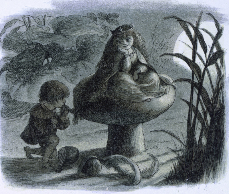 'Water lilies and water fairies of the period', c1869-c1870. A fairy sitting on a toadstool is being wooed by a lover. From "In Fairy land. A series of pictures from the elf-world by Richard Doyle. With a poem by W Allingham." (London, 1869-1870).