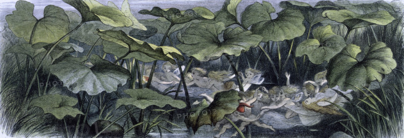 'Water lilies and water fairies of the period', c1869-c1870. Wood elves at play. An assortment of fairies, nymphs and elves amuse themselves on some lily pads and flowers in a pond. From "In Fairy land. A series of pictures from the elf-world by Richard Doyle. With a poem by W Allingham." (London, 1869-1870).