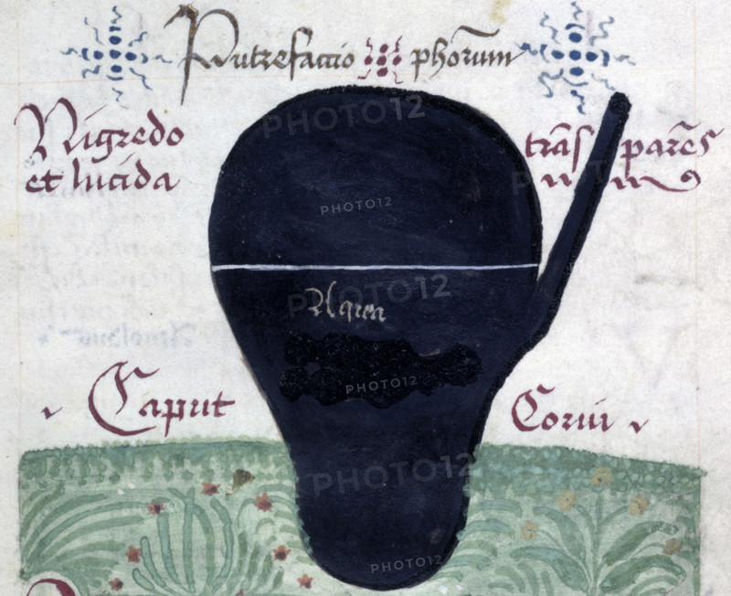 Putrefactio philosophorum (The putrefaction of the philosophers), late 13th century. Drawing of a black coloured glass vessel relating to alchemical experimentation, with text. The black stage of the crow's head. The stages of the alchemical process were attributed various colours, black being one of them. The three main colours were black, white and red. Sometimes the stages were compared to birds, hence the black crow. This is from a collection of alchemical extracts, mainly from Arnold of Villanova, who was a physician who treated popes and kings during the thirteenth century. From Alchemy: General collections and anonymous treatises and processes in prose and verse.