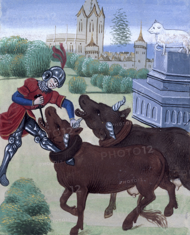 Jason yokes the oxen in his attempt to acquire the Golden Fleece, late 15th century. From a French translation of Ovid's Metamorphosis. (Metamorphoses, second anonymous French translation - Ovide moralisé).