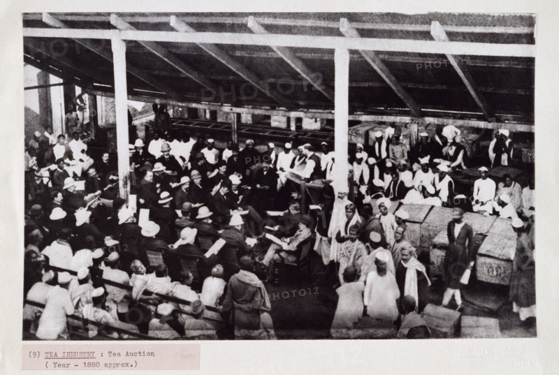 Tea auction, probably in Calcutta, India, c1880. The European men wear bowler hats and pith helmets.