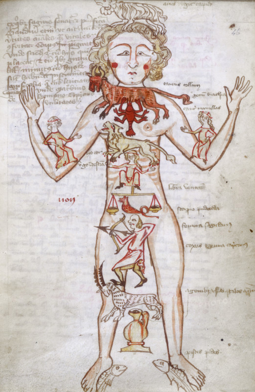 Zodiac man, at the beginning of the Numerus et Ordo signorum, 15th century.  Drawing of a human figure with the 12 signs of the Zodiac, illustrating the different areas of the human body, each governed by a different sign. Here the macrocosm-miscrocosm link between humans and the heavens is demonstrated; the medieval practice of astrological medicine decreed that the dominant influence on the balance of the four humours came from the heavens, and activities such as bleeding must not be undertaken unless the planets were in favourable positions. From Medical miscellany.