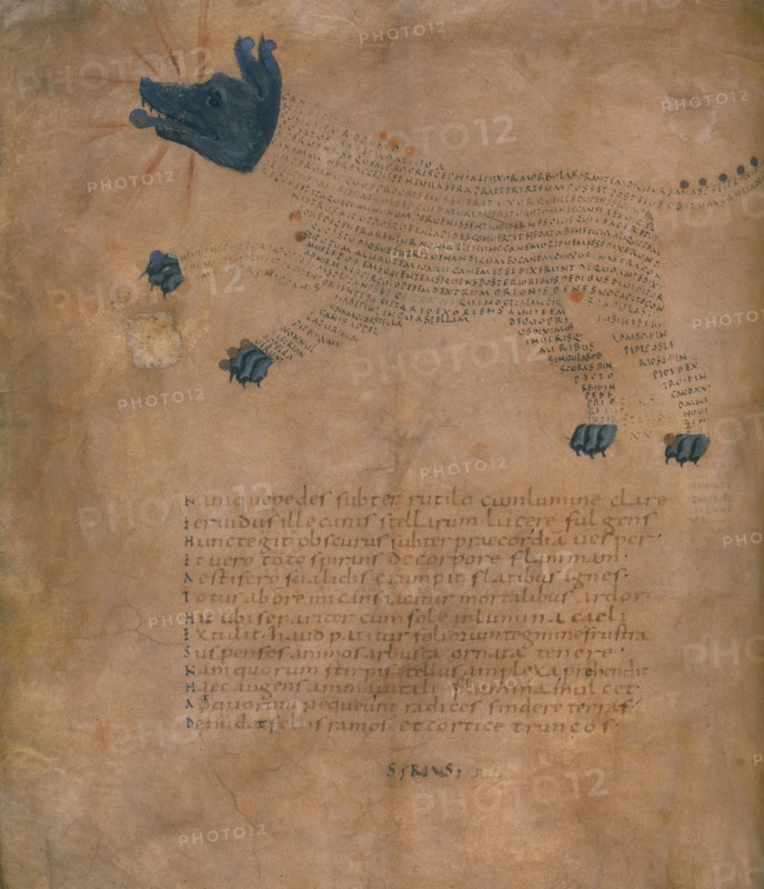 Illustration of the constellation Sirius, with text, c820-840 AD. Sirius is the brightest star in the sky, after the Sun. The ancient Egyptians called Sirius the dog star, after their god Osiris, whose head in pictograms resembled that of a dog. From Cicero's Latin translation of Aratus's "Phaenomena", which is an ancient literary source of constellations. Aratus of Soli was a poet of the early third century BC. From the Harley Aratus.