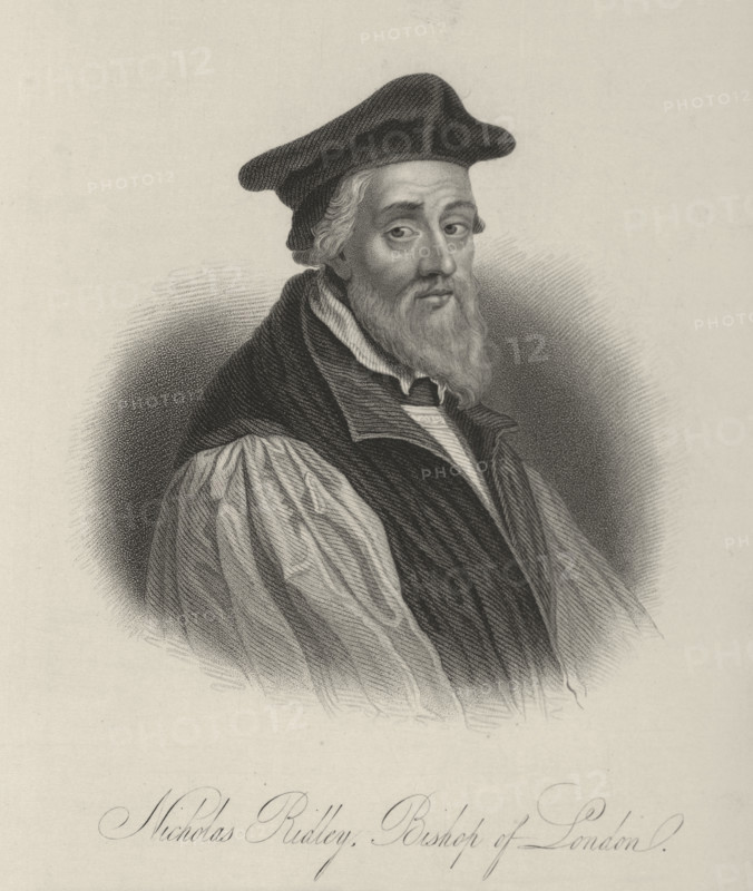 Nicholas Ridley, Bishop of London, c1540-c1555, (1834-1837). Ridley (c1500-1555) was a Protestant martyr and one of the finest academic minds in the early English Reformation. Plate 2 from "Lives of Eminent and Illustrious Englishmen, from Alfred the Great to the Latest Times", Vol 7. [Glasgow & Edinburgh, 1834-37]