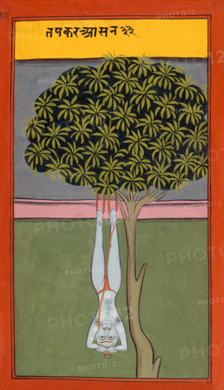 A yogi hanging by his feet from a tree, 19th century. From Asanas and Mudras (Hata yoga).