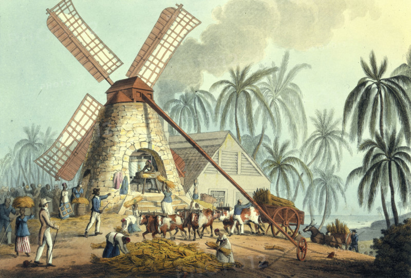 The Mill Yard, Antigua, 1823. A large windmill  set in a tropical landscape surrounded by African labourers grinding sugar cane in a windmill,. From "Ten Views in the Island of Antigua, in which are represented the process of sugar making, and the employment of the negroes ... From drawings made by W Clark, etc" written and illustrated by William Clark. (London, 1823).   ten-views-in-the-island-of-antigua---caption-the-mill-yard_12459234884