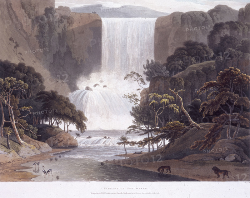 'Cascade on Sneuwberg', 1804. From "A collection of plates illustrative of African scenery and animals" by Samuel Daniell. (London 1804).