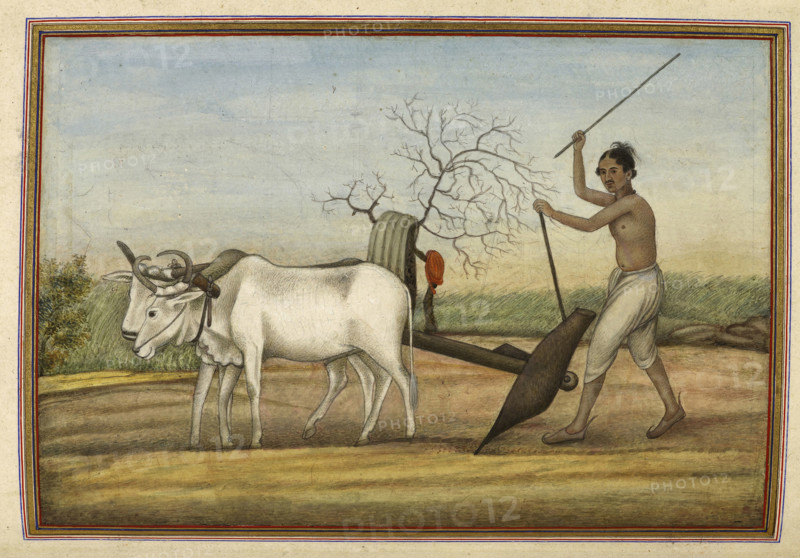 Jat, a numerous tribe spread over much of north, 1825. From Tashrih Al Aqvam An Account Of Origins And Occupations Of Some Of The Sects Castes And Tribes Of India.