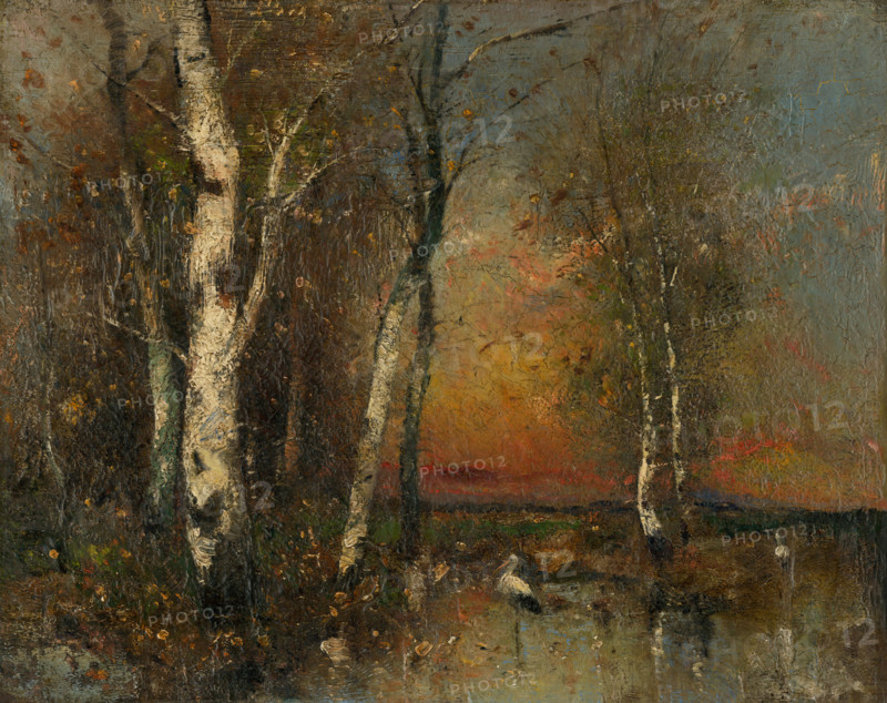 Forest landscape, 1880-1925.