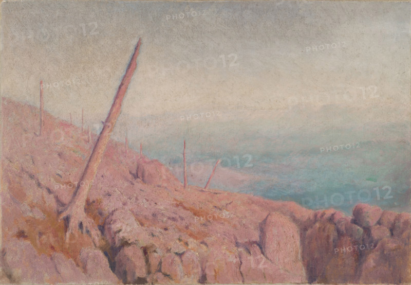 Rocky landscape, (Windthrow), early 20th century.