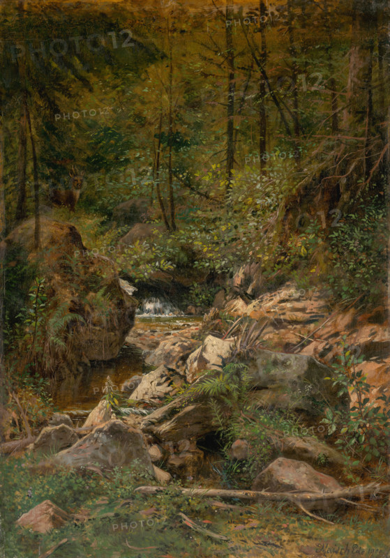 Forest stream, 1900.