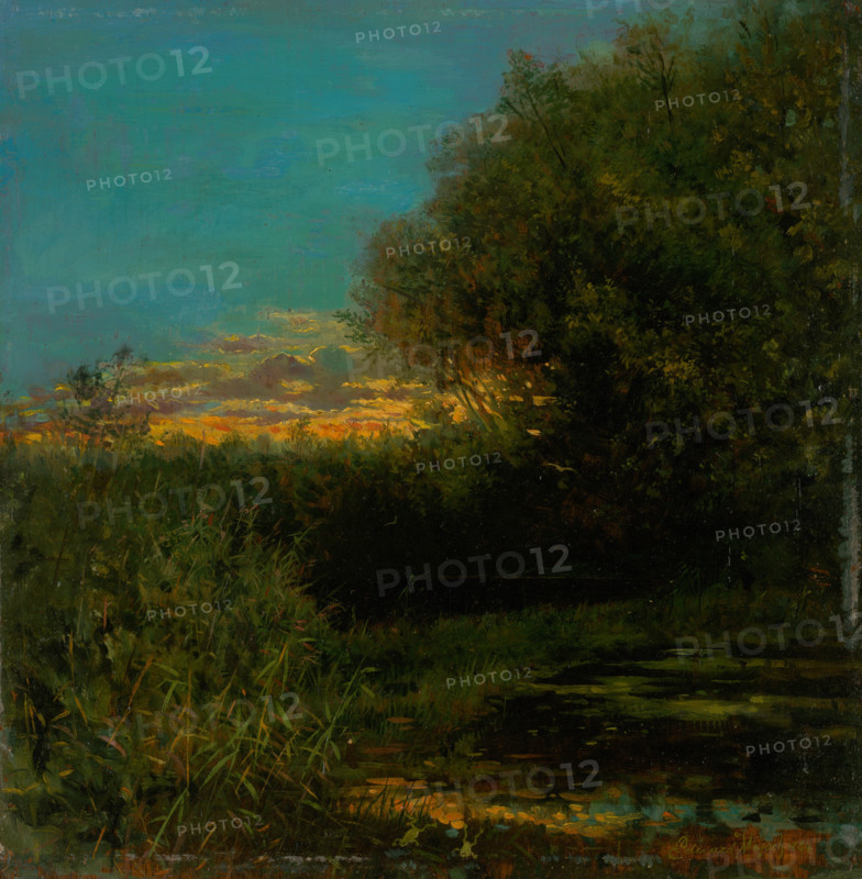 Sunset and trees in shade, 1894.