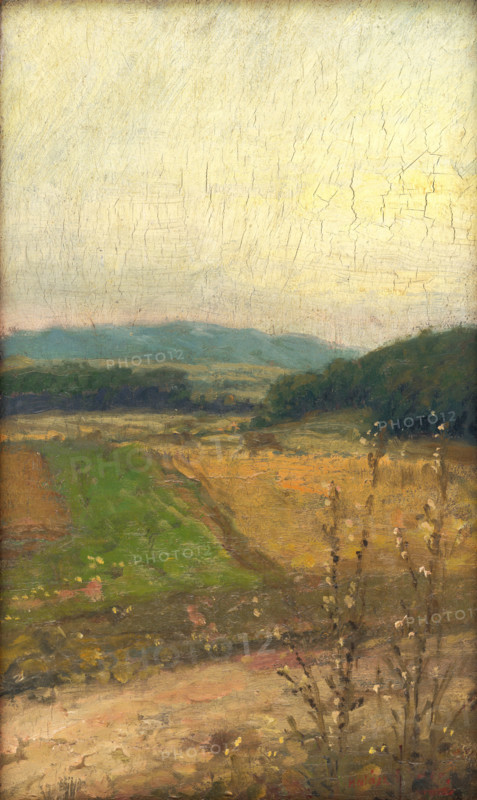Landscape with hills in the distance, c1902.