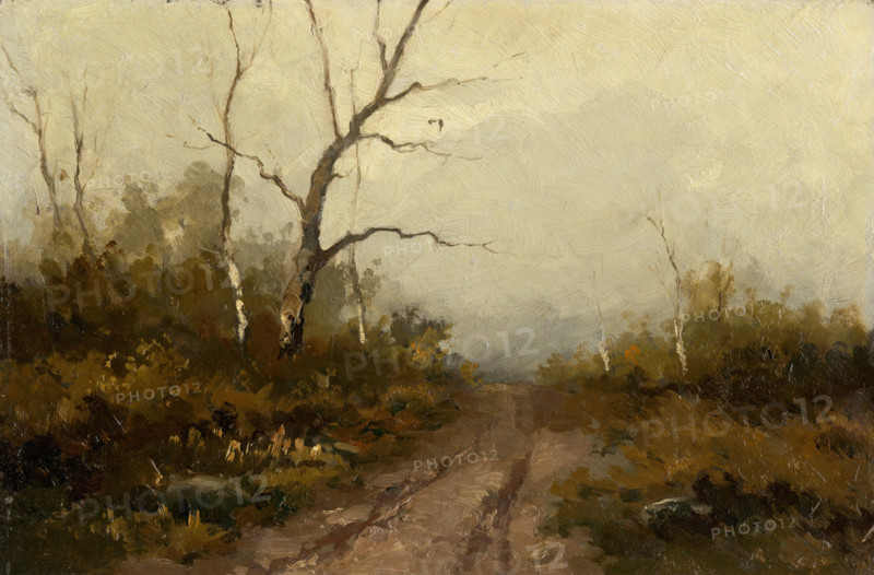 Forest scene, 1890-1900.