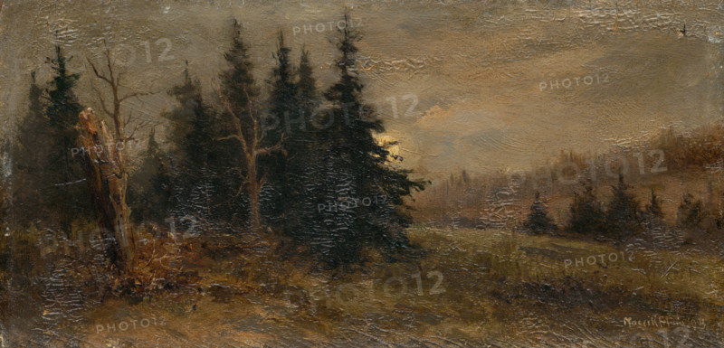 Forest landscape, 1903.