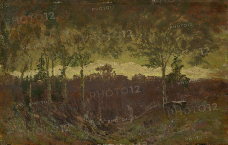 Tatras landscape, early evening, after 1900.