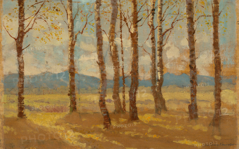 Birches in Autumn, 1900-1910.