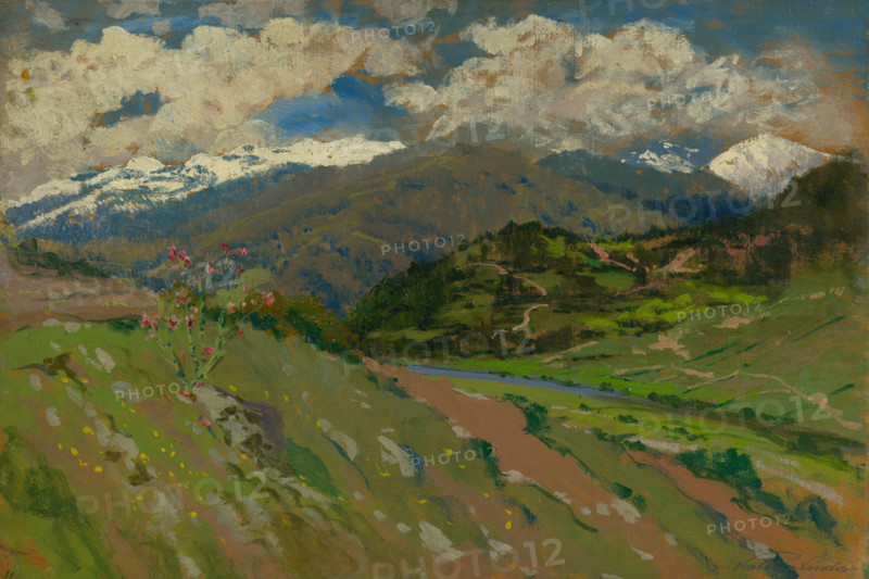 Landscape near Kralovany, 1900-1910.