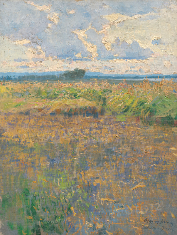 Summer landscape, 1900.