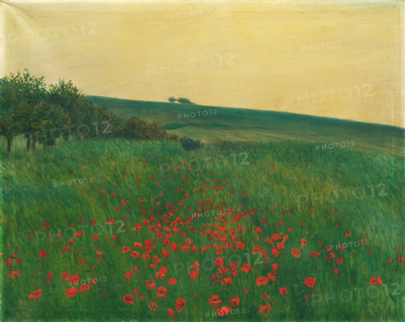 Red Poppies, 1910.