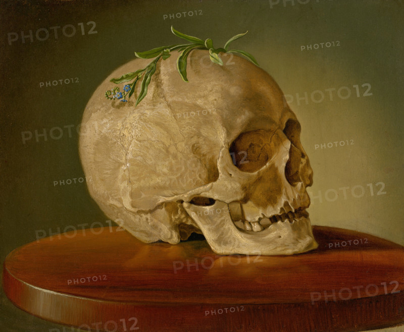 Still Life with a Skull and a Forget-Me-Not, around 1860.
