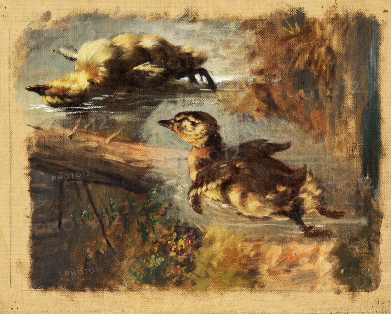 Study of Ducks on the Water I, 1840-1850.