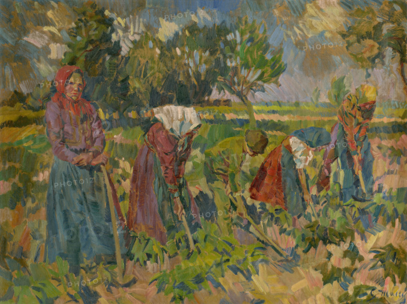 Heavy Weeding, 1924-1928.