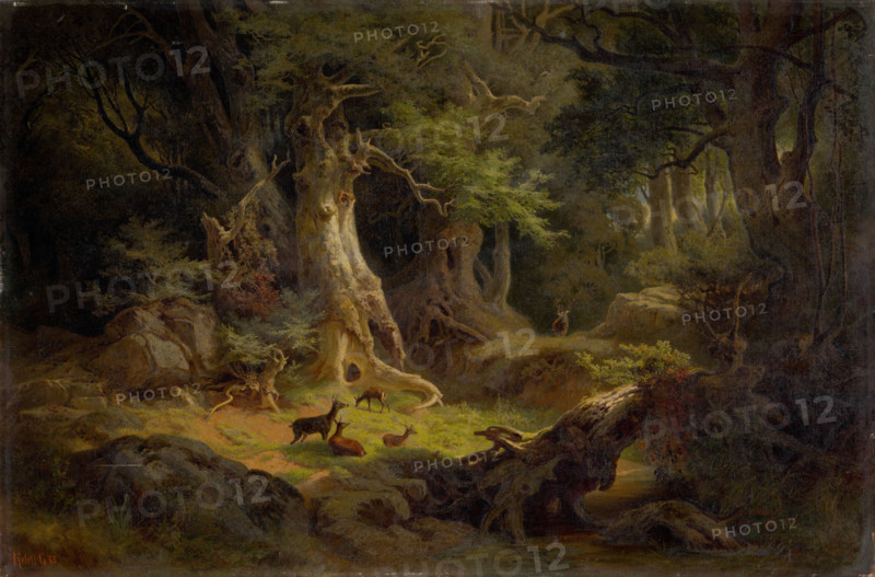 Forest with a herd of deer, 1868.