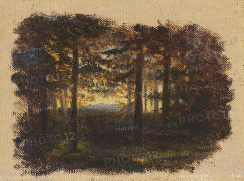 In the woods before sunset, 1860-1900.