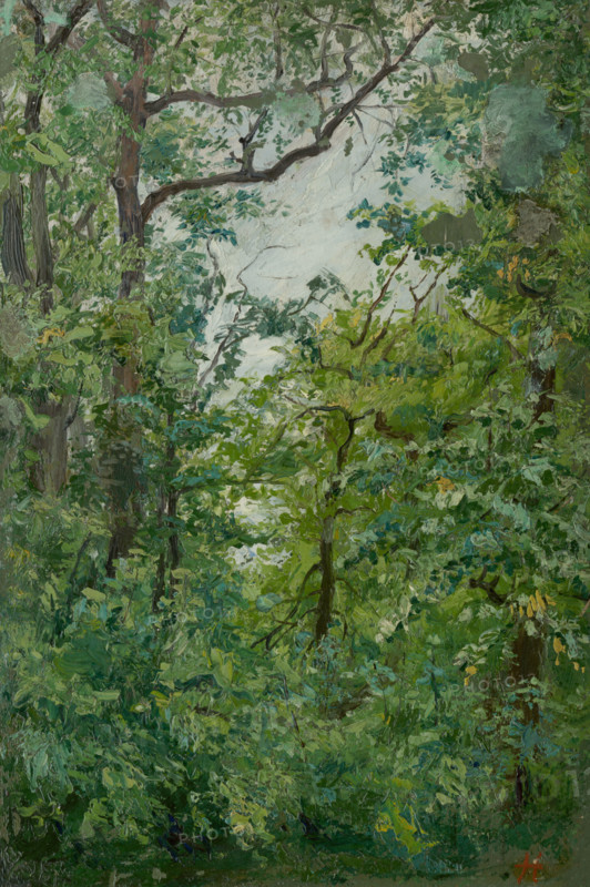 From the Park, 1900-1920.