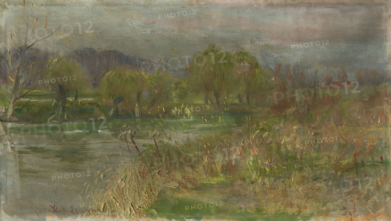 Landscape with swamp, c1900.