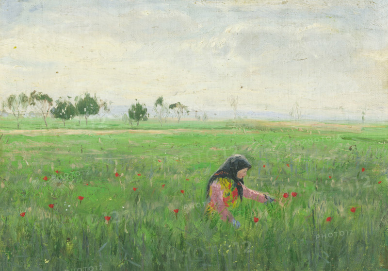 Woman in a Meadow, around 1900.