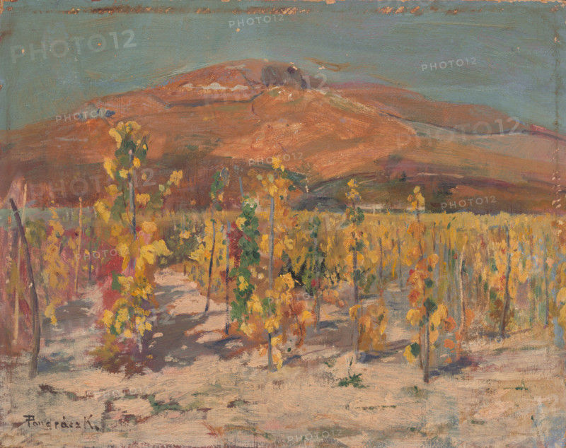 Vineyards at the foot of Mount Zobor, 1930-1940.