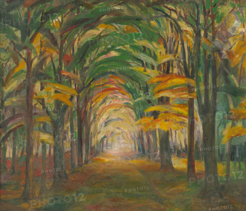 Avenue of trees, 1923-1928.