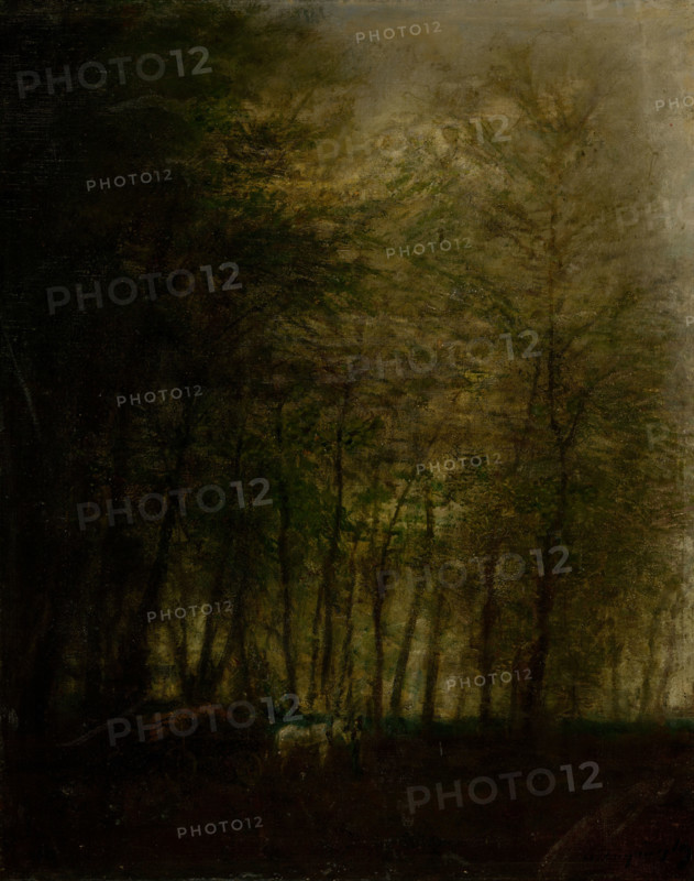 Wagon in the Woods, 1880-1900.