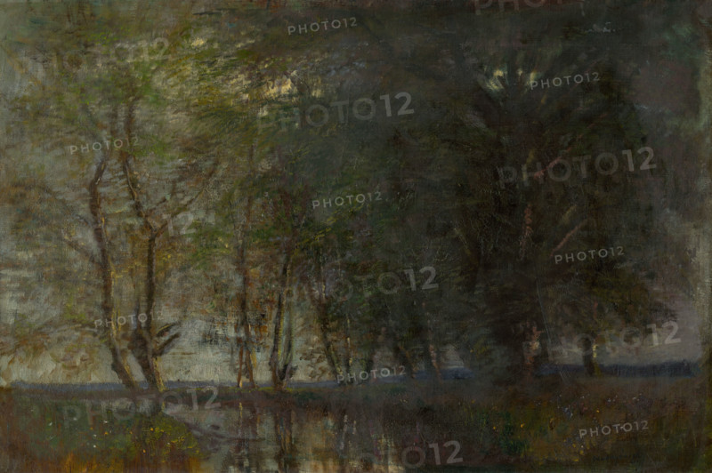 Trees by the Váh, 1870-1900.