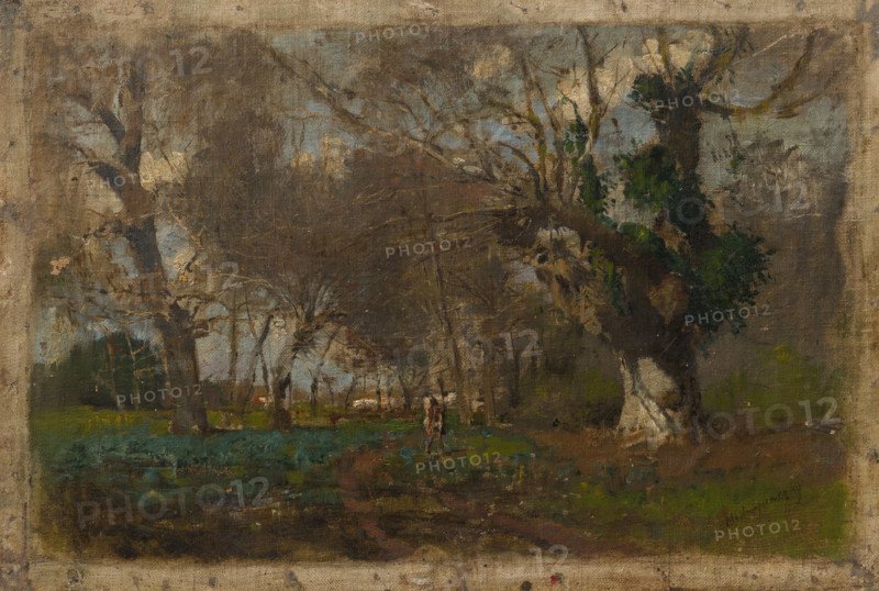 Oak Trees near an Arm of the Váh, 1880-1885.
