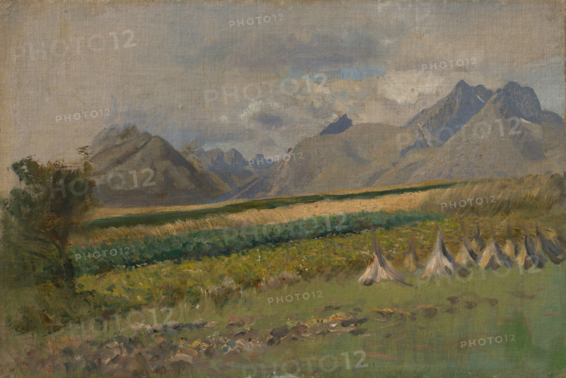 The High Tatras from Strázky, 1878-1880.