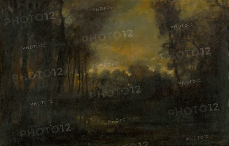 Swampy Landscape, 1880-1900.