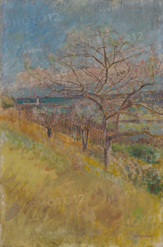 Valley with Trees in Bloom, 1890 - 1900.