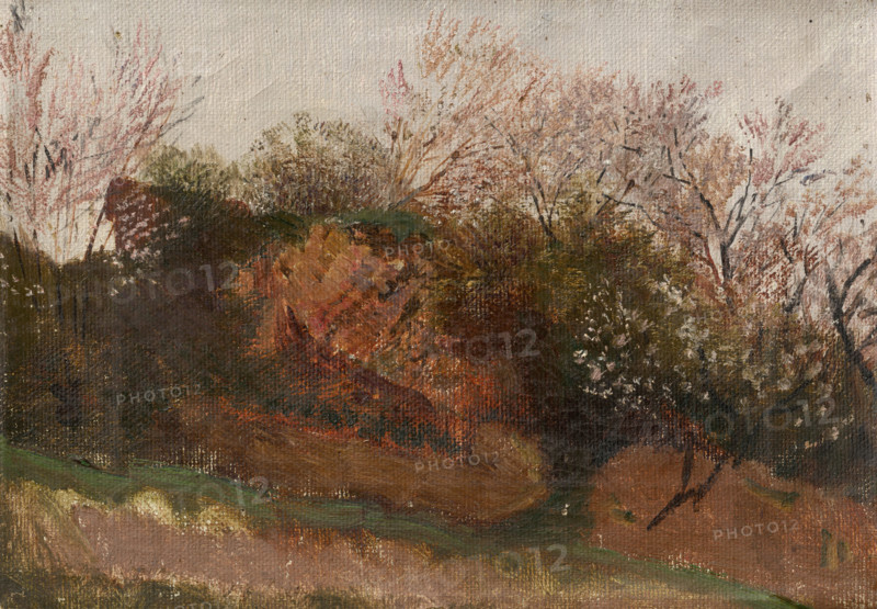 Study of Nature in Spring, 1900-1910.