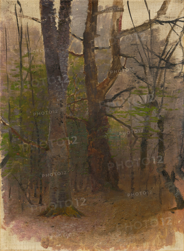 Early Spring. Forest, 1876 - 1877.
