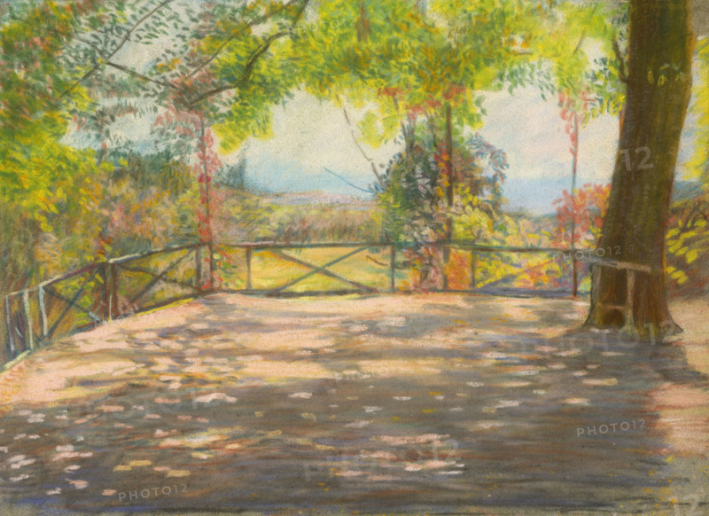 Motif in Park, around 1900.