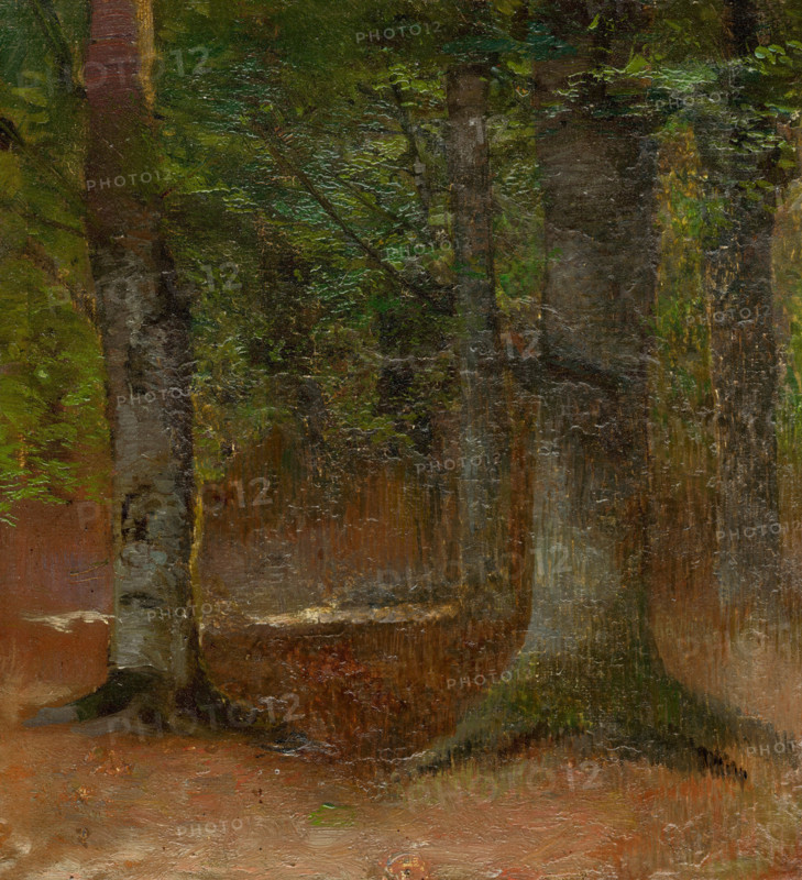 Study of Forest, 1890-1900.
