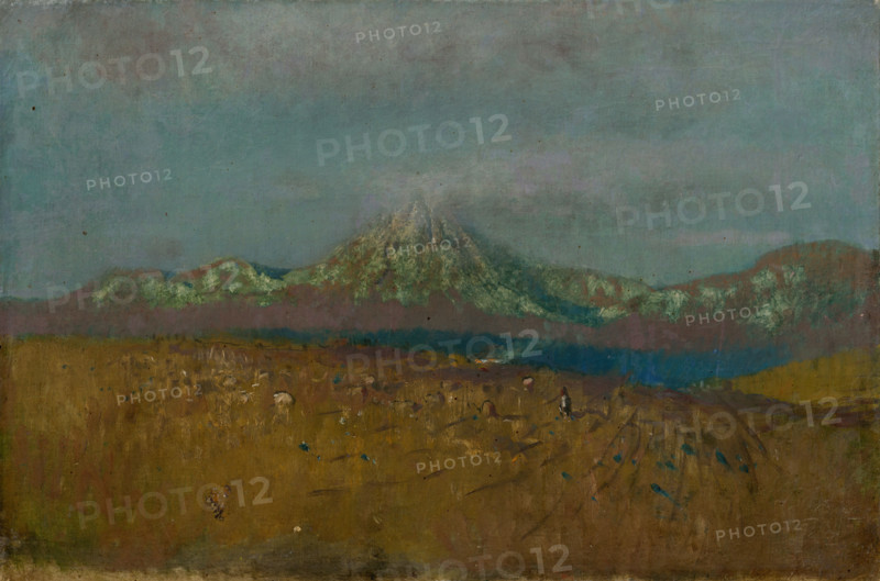 Digging out Potatoes under the Tatras, 1878 - 1880.