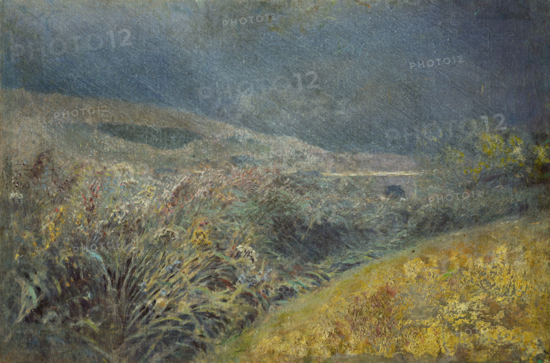 Motif from the Belianske Tatras, 1880-1900.